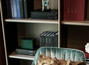 來閣設計整理出品-設計聯系：13607018416 (16)